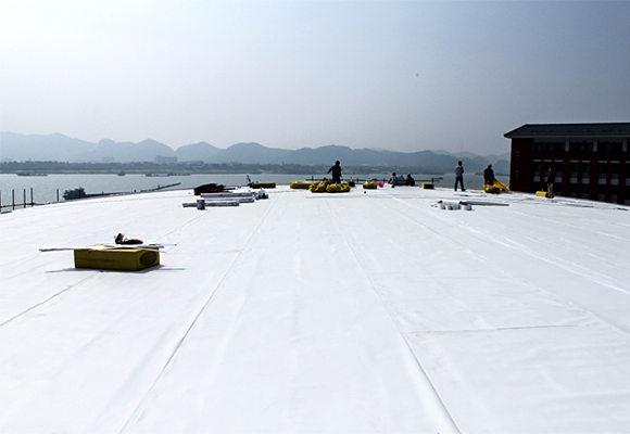 Гидроизоляционная мембрана ПВХ или ТПО: что лучше для кровельных проектов