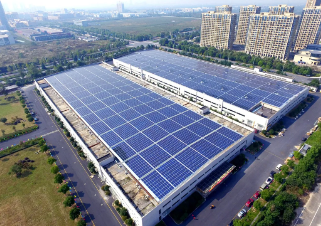 Агрессивный CANLON