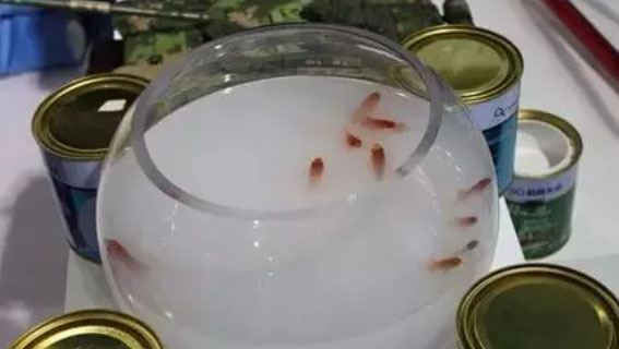 Зеленый CANLON |Вы не можете пить эту краску, но вы можете пить ее с уверенностью в водопроводных сетях, которые ее используют!