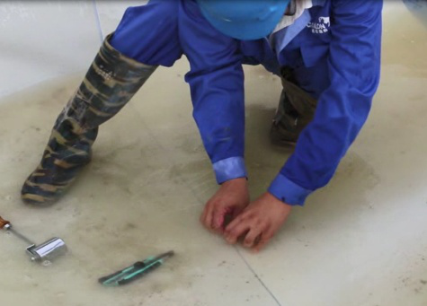 Предварительно нанесенная гидроизоляционная мембрана forfens 2