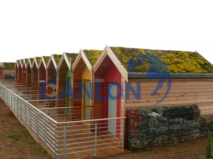 засаженная кровля